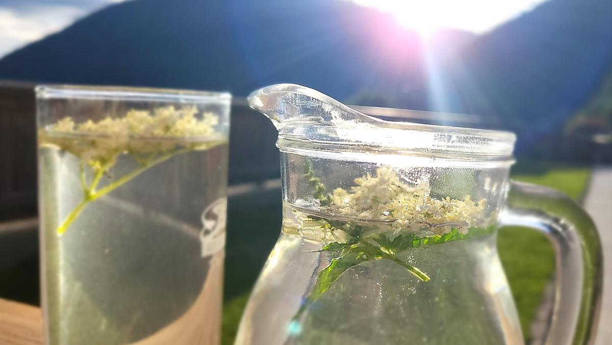elderflower cordial