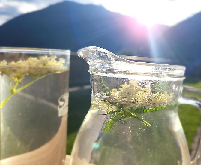 elderflower cordial