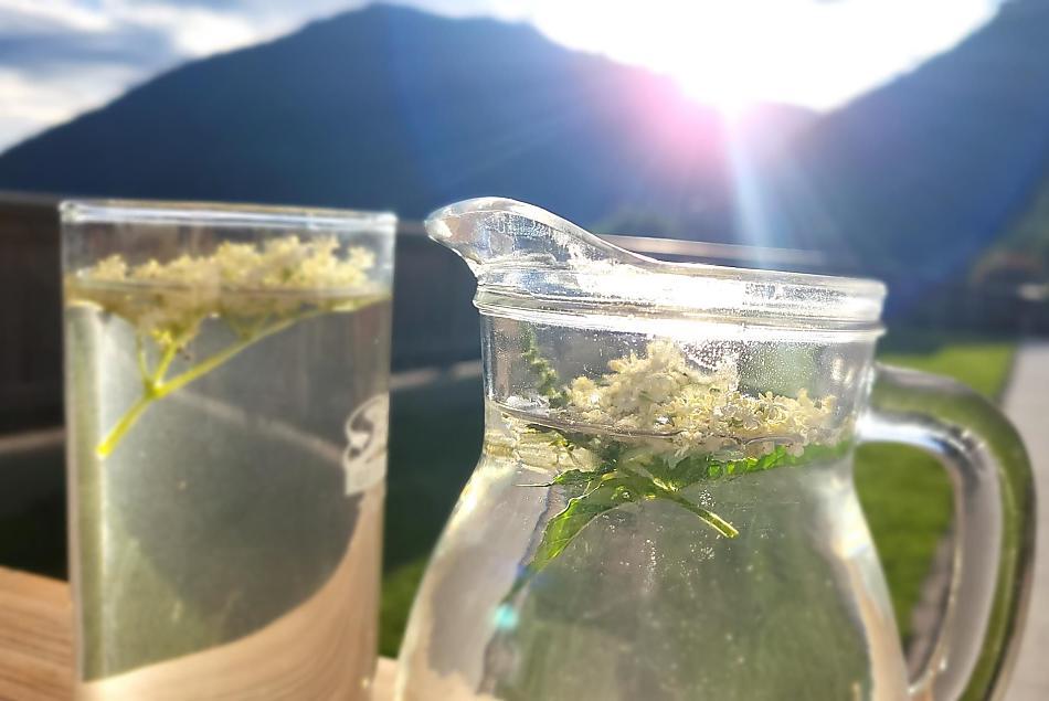 elderflower cordial