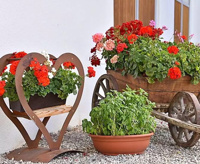 Fuchshof - gallery Photo