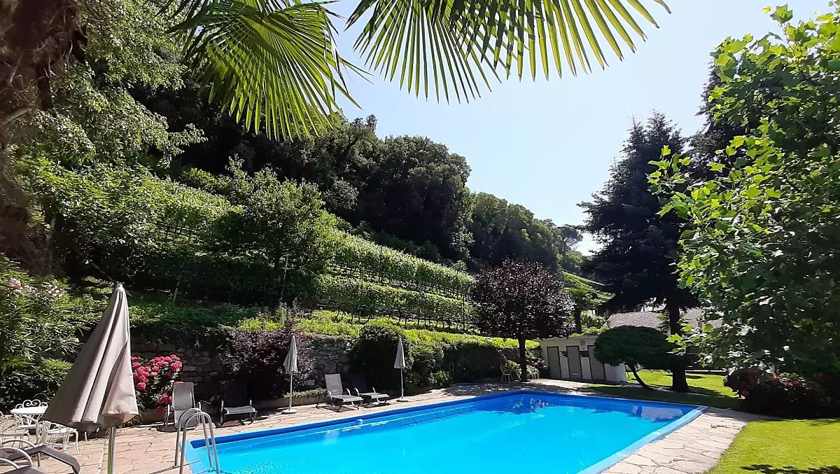 Das Schwimmbad und im Hintergrund unsere Weinberge