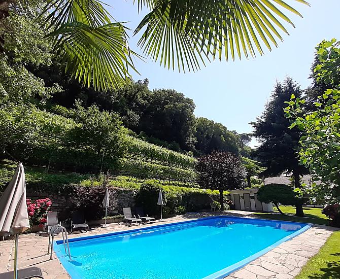 Das Schwimmbad und im Hintergrund unsere Weinberge