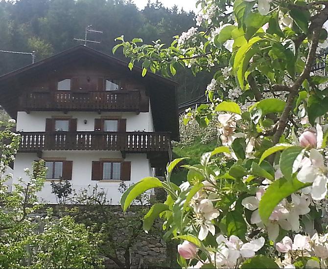 Lochmannhof - Photo gallery Photo