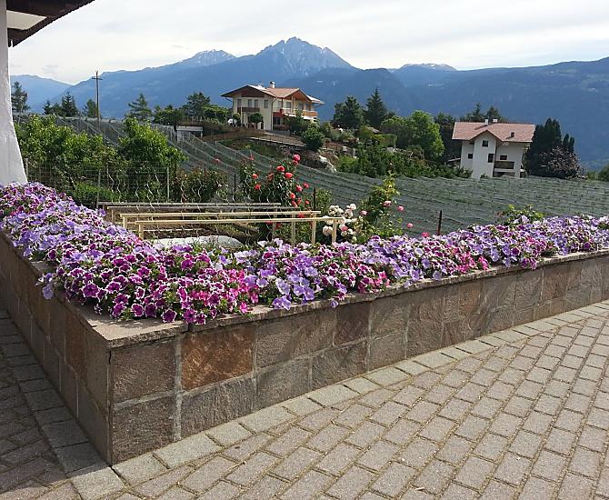 Lochmannhof - Photo gallery Photo