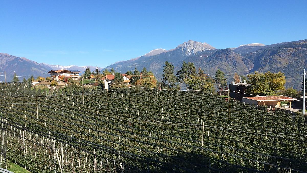 Beautiful, clear autumn days