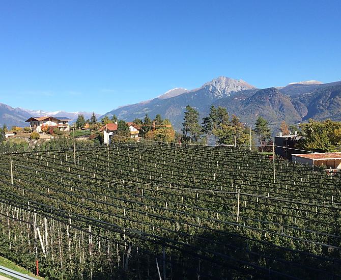 Beautiful, clear autumn days
