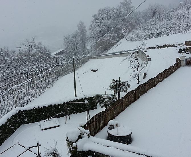 The winter time is also a beautiful time.