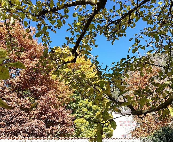Herbststimmung in unserem Garten, angrenzend zum Schloss Ansiedl
