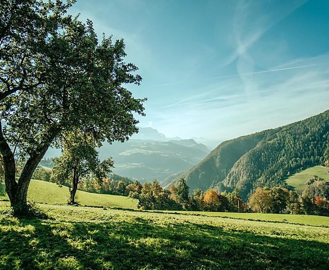Telfnerhof - gallery Photo