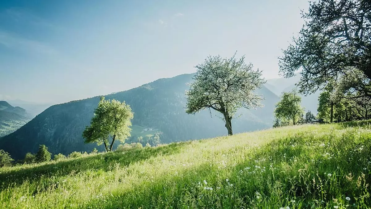 Telfnerhof - gallery Photo