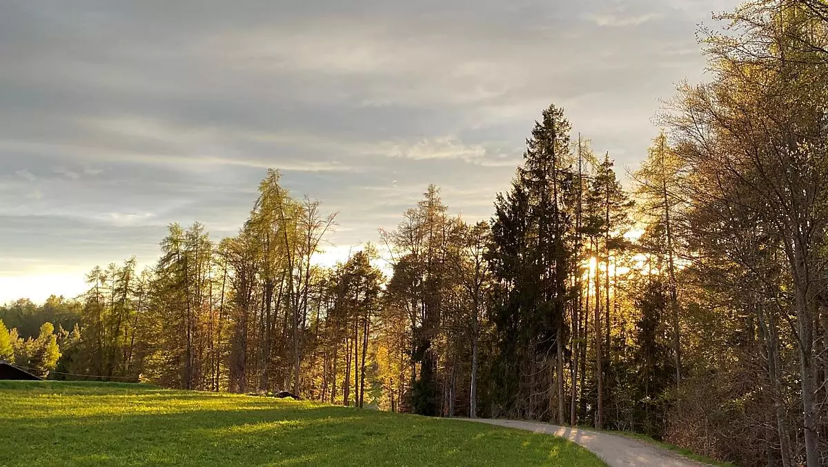 Trotnerhof - gallery Photo