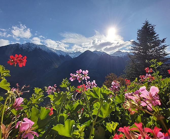 Krusterhof - Photo gallery Photo