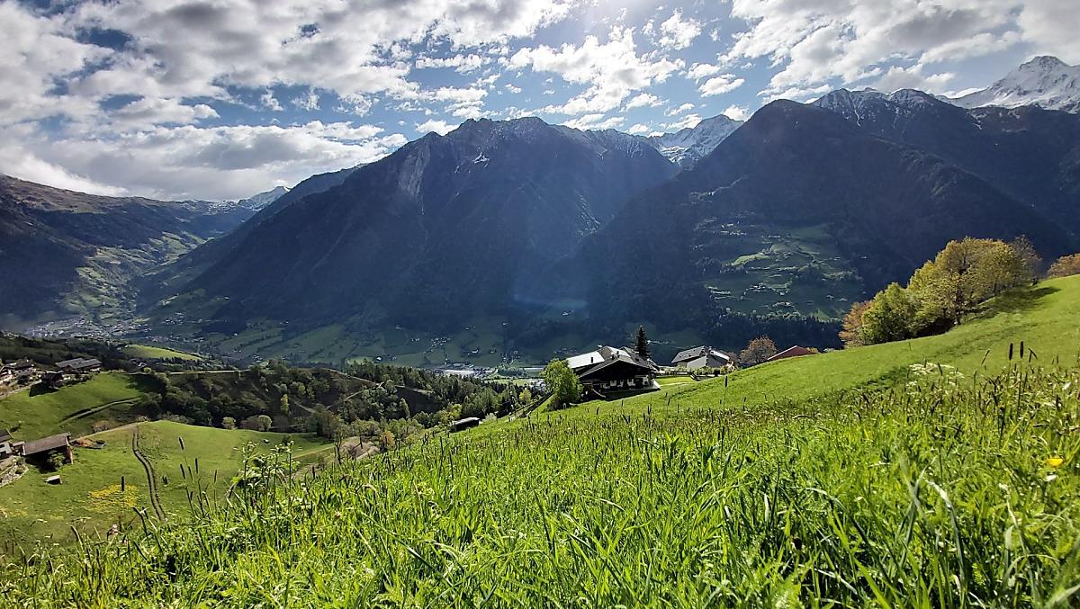 Krusterhof - Photo gallery Photo