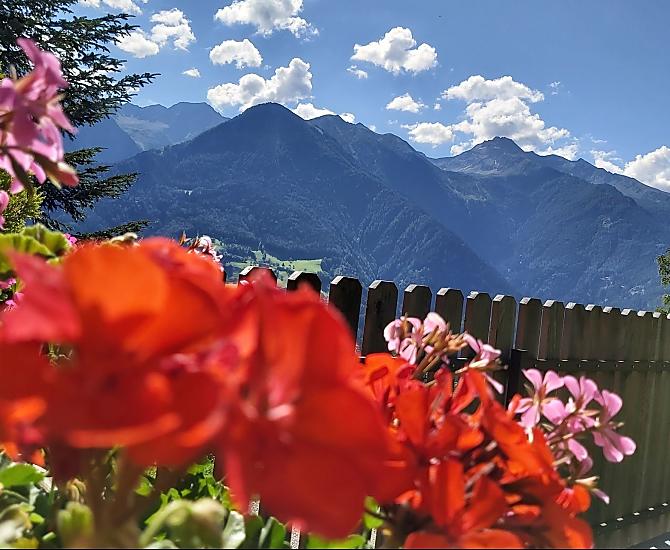 Krusterhof - Photo gallery Photo