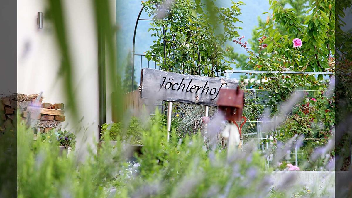 Der Kräutergarten in voller Pracht!