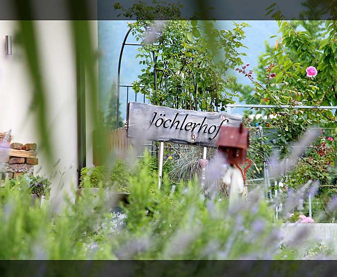 Der Kräutergarten in voller Pracht!