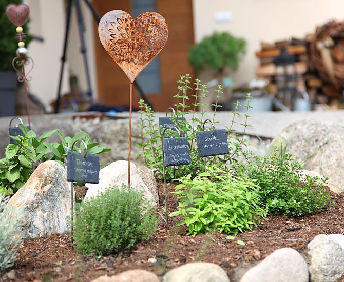 Unser Kräutergarten beginnt zu wachsen...