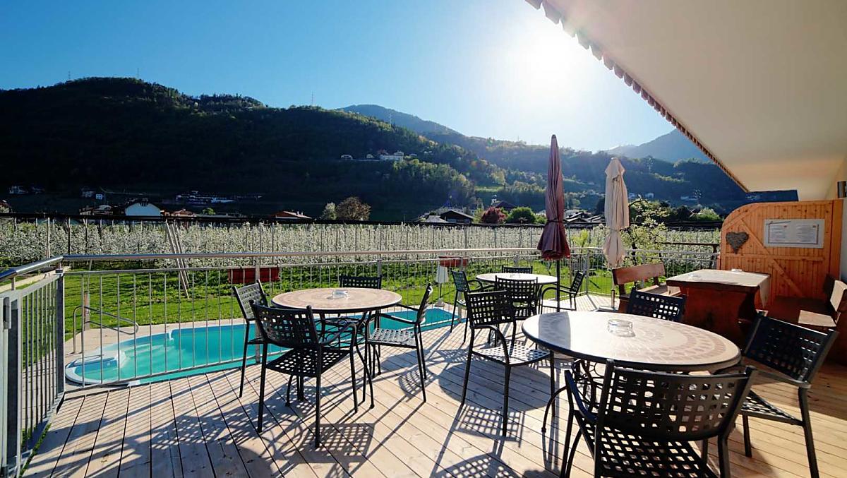 Enjoy the flowering of spring on the sun terrace