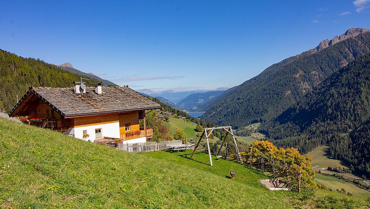Our house in the middle of meadows and forests