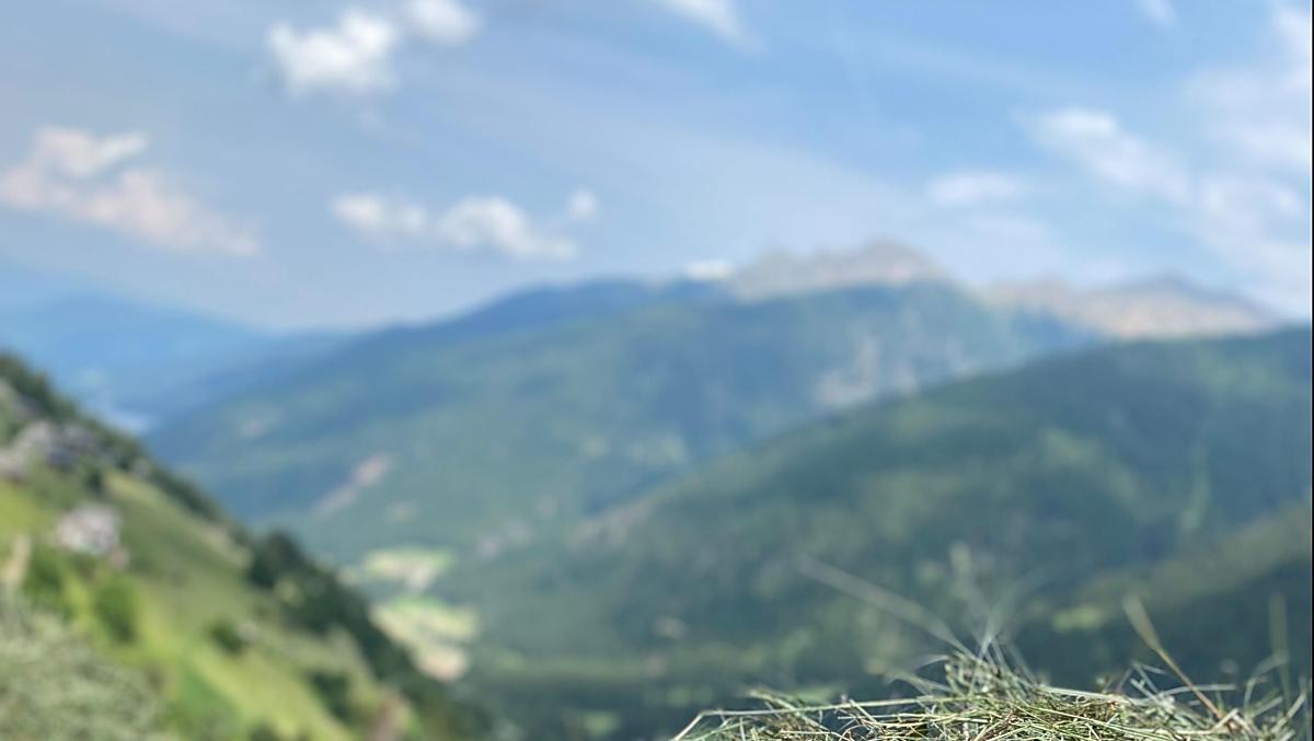 Lots of work by hand on steep slopes is what our harvest is about.