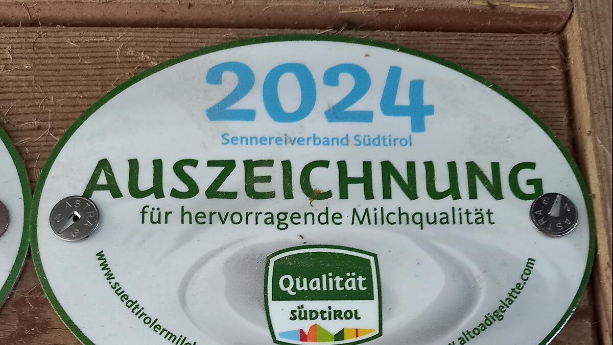 Every year we get the award for the best quality milk from the dairy.