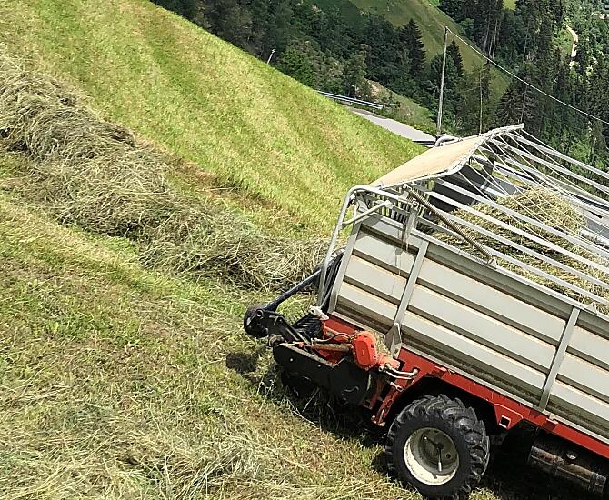 Hay harvest on steep slopes