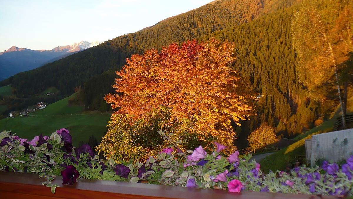 Herbst am Pendl-Hof 
