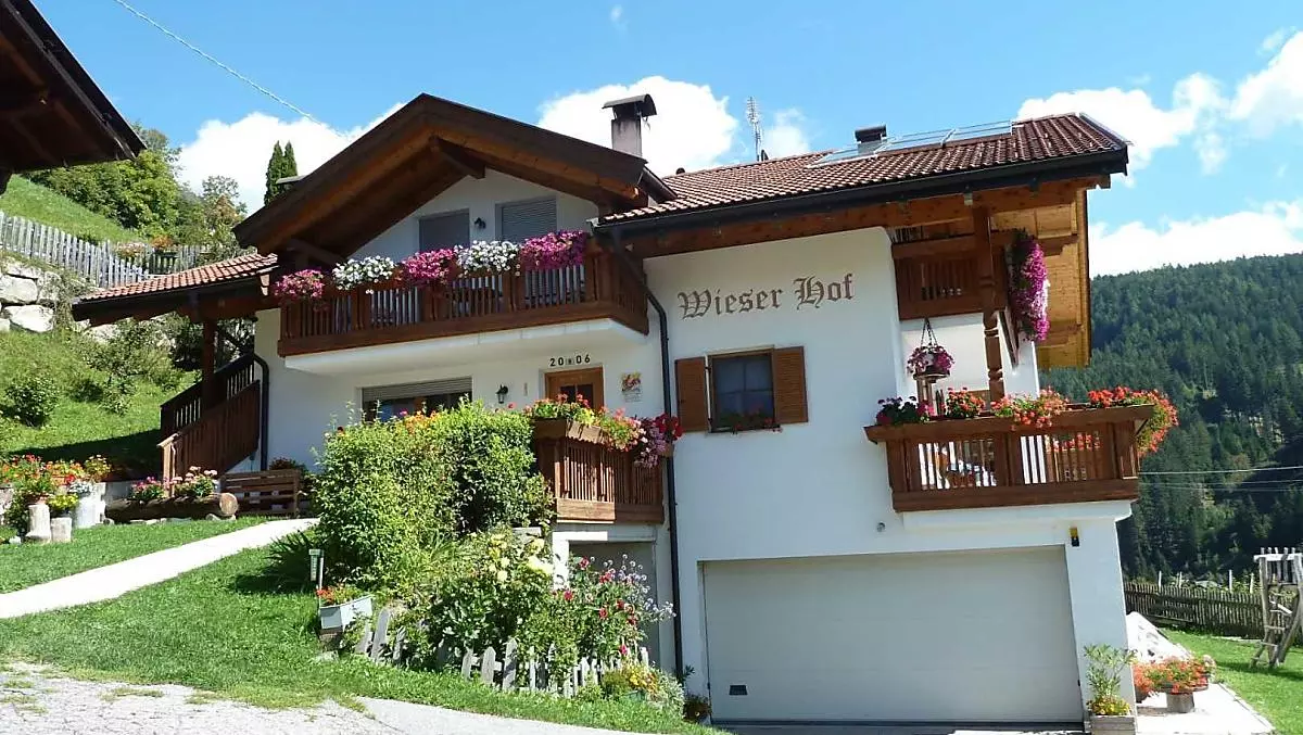 Man freut sich immer wieder, wenn im Sommer alles schön bunt blüht.