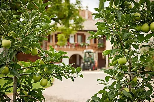 Linserhof - list Photo