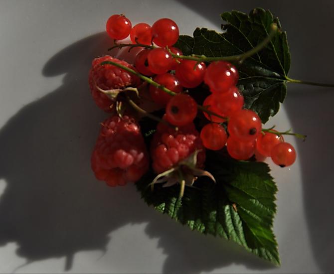 Himbeeren und Johannisbeeren für köstlichen Fruchtaufstrich