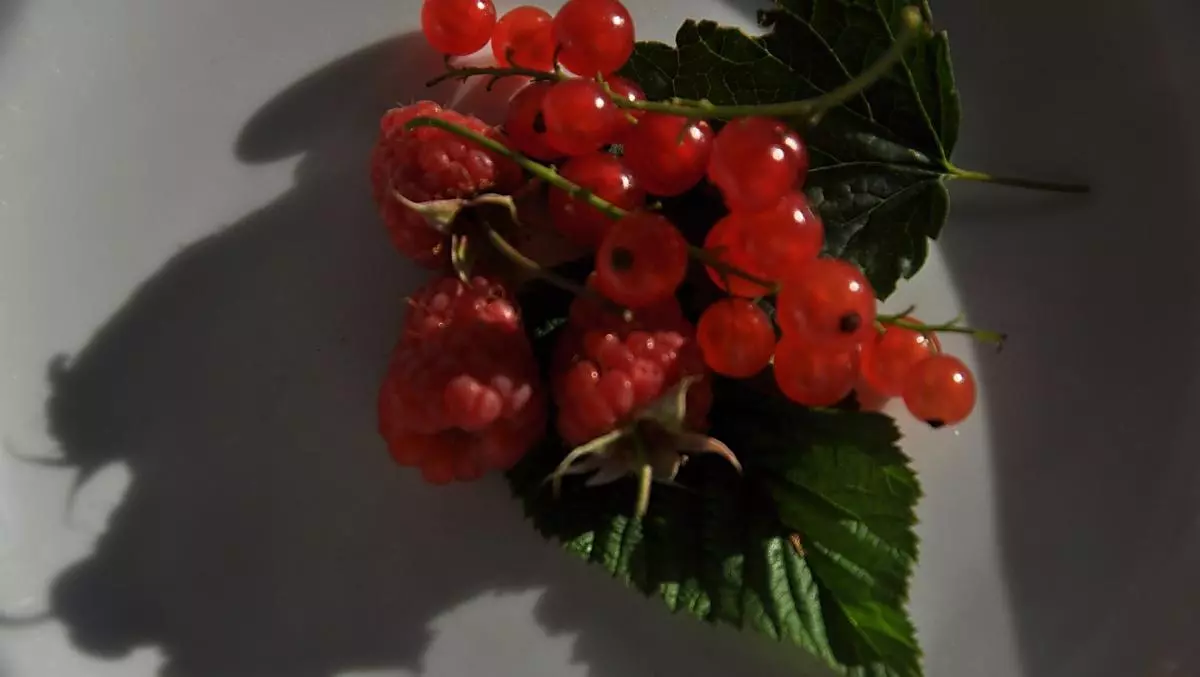 Raspberries and currants for a delicious fruit spread
