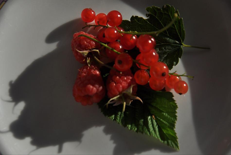 Raspberries and currants for a delicious fruit spread