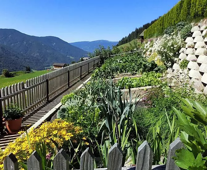 The vegetable and herb garden