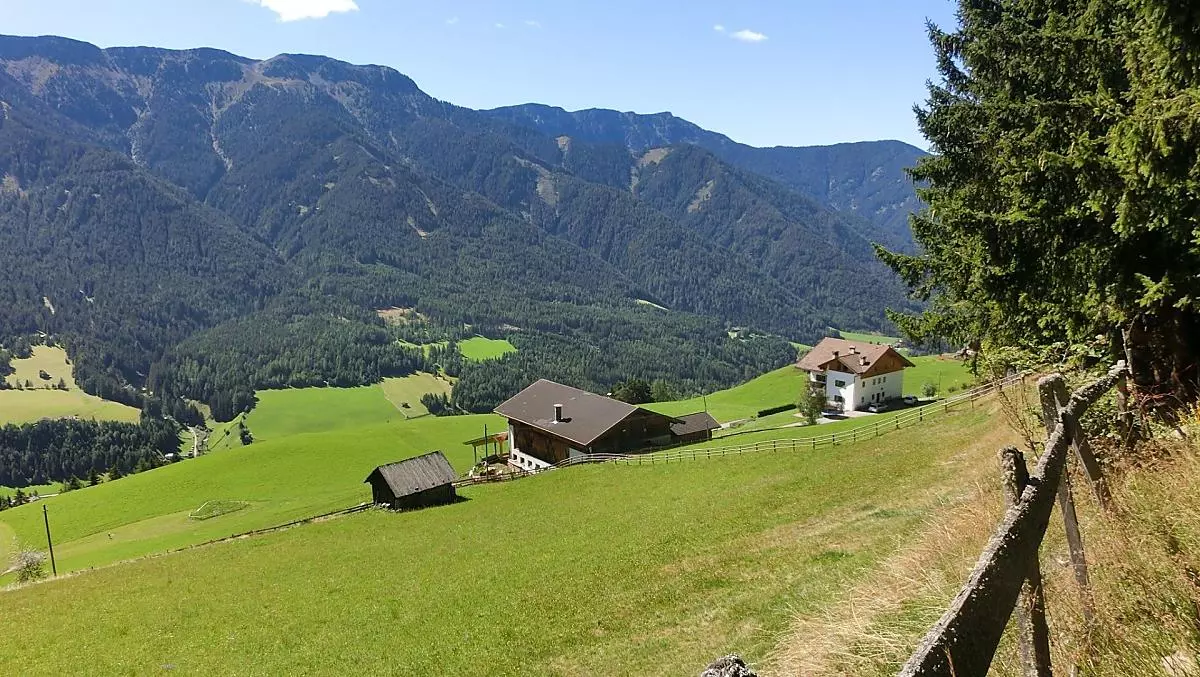 Farm view from the edge of the forest towards the south