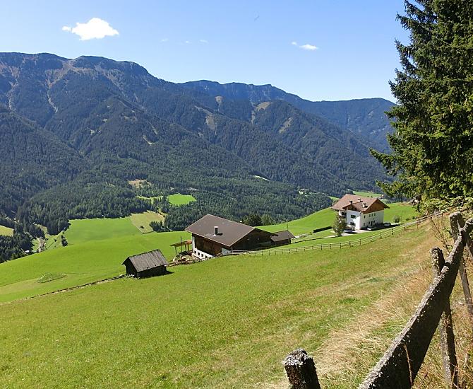 Farm view from the edge of the forest towards the south