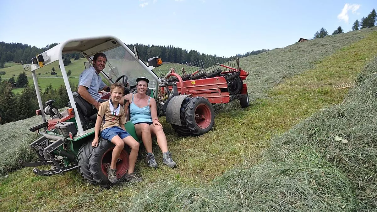 During the hay harvest