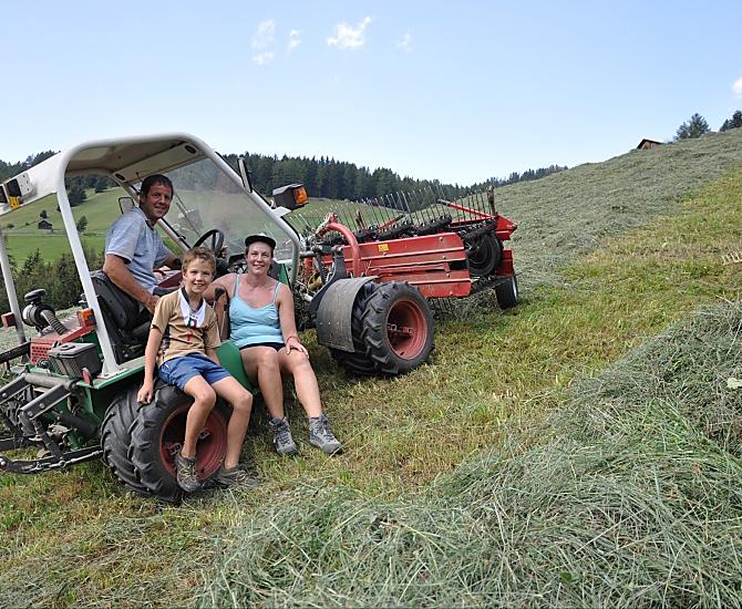 During the hay harvest