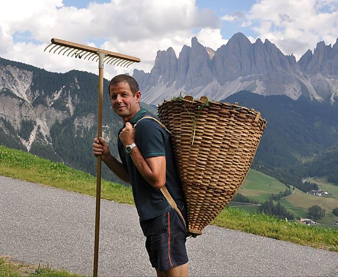 Fetching grass for the calves