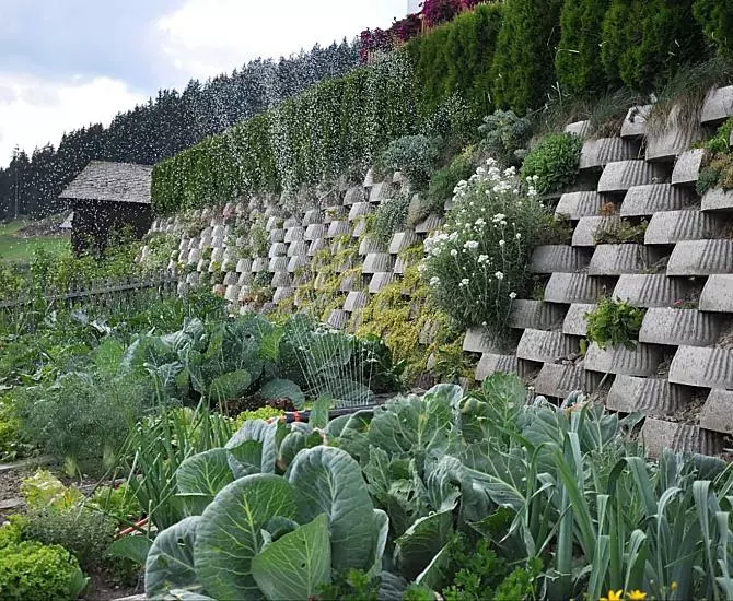 Fresh seasonal vegetables every day