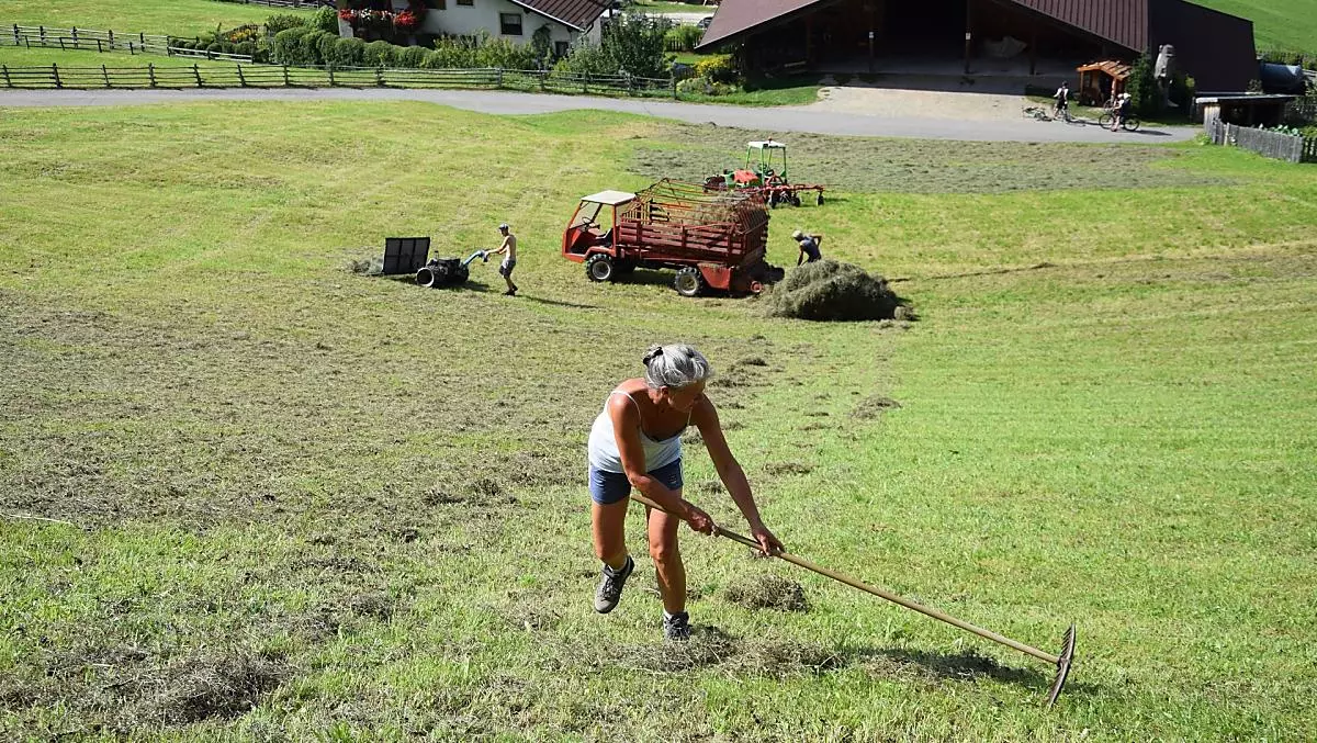 Heuarbeit im Sommer