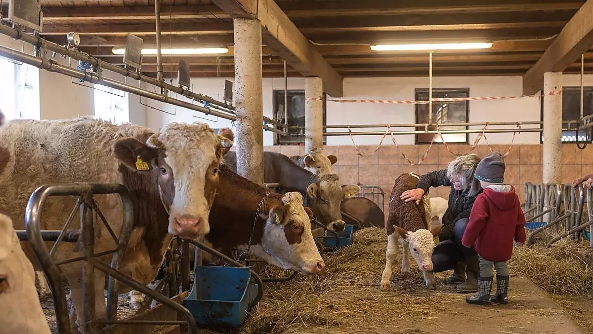 Stallarbeit miterleben - ein unvergessliches Erlebnis für Groß und Klein.