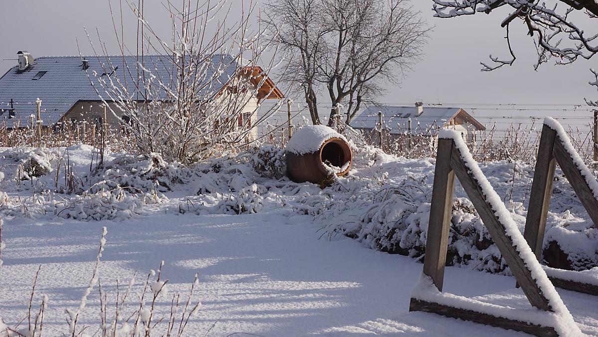 Winteridylle am Teich