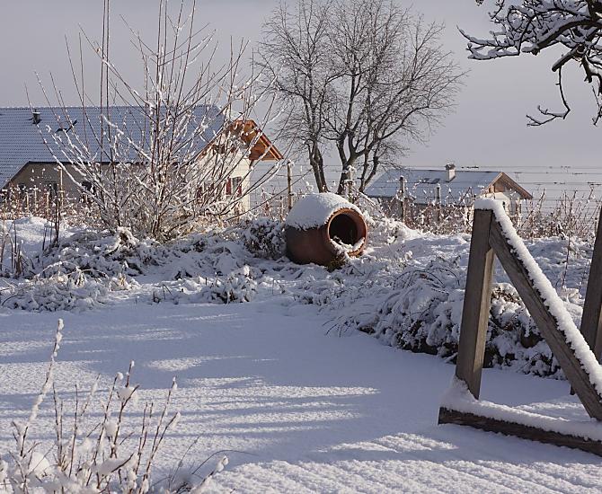 Winteridylle am Teich