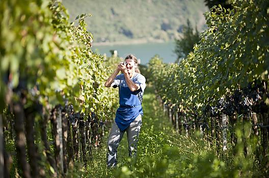 Tröpfltalhof - list Photo