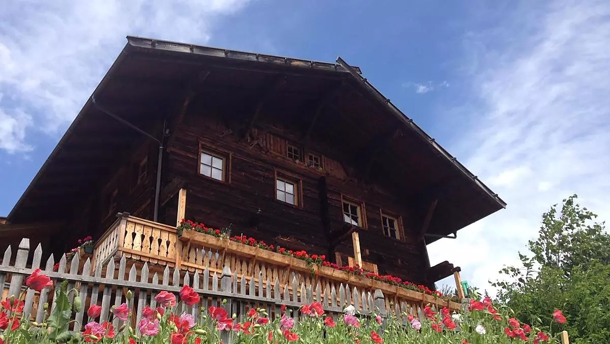 Mohnblüte im Juli