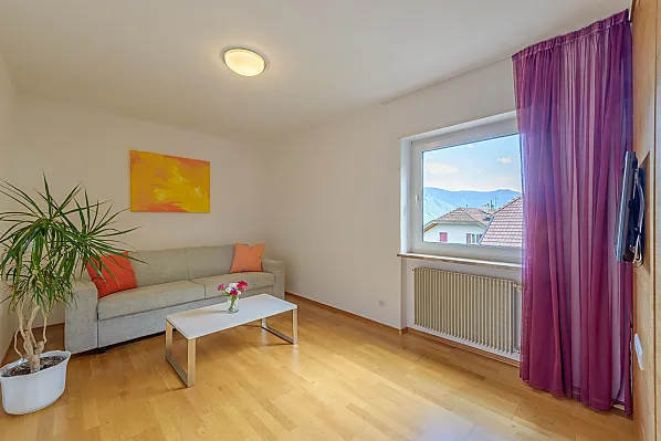 Das Wohnzimmer mit Fernseher kann auch als hochwertige Doppelschlafcouch verwendet werden.