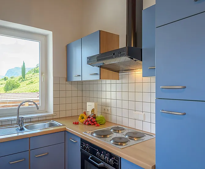 Küche mit mediterranem Ausblick, Kühlschrank mit Gefrierfach, Kochfeld mit Abzugshaube, Backofen, Kaffeemaschine und Wasserkocher, Geschirr