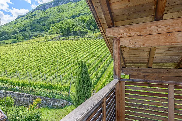 Ausblick vom südseitigem Balkon auf die Weinberge, auf die Uhrsullawond und in den Süden.