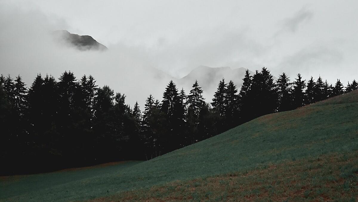 Obertimpflhof - Photo gallery Photo