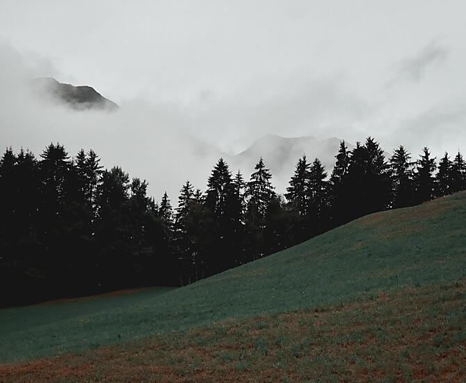 Obertimpflhof - Photo gallery Photo